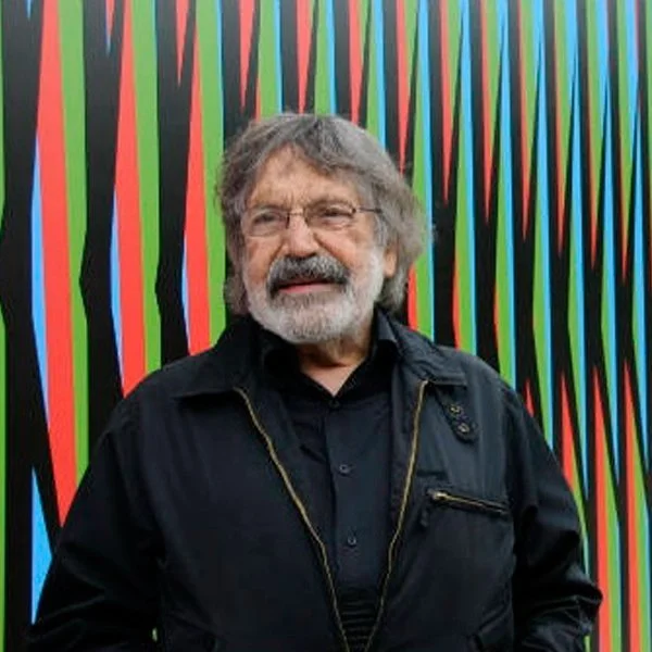 carlos-cruz-diez-nh-gallery