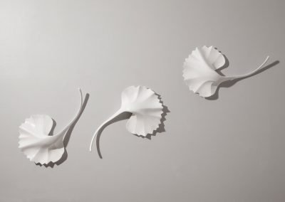 Falling petals installation on white