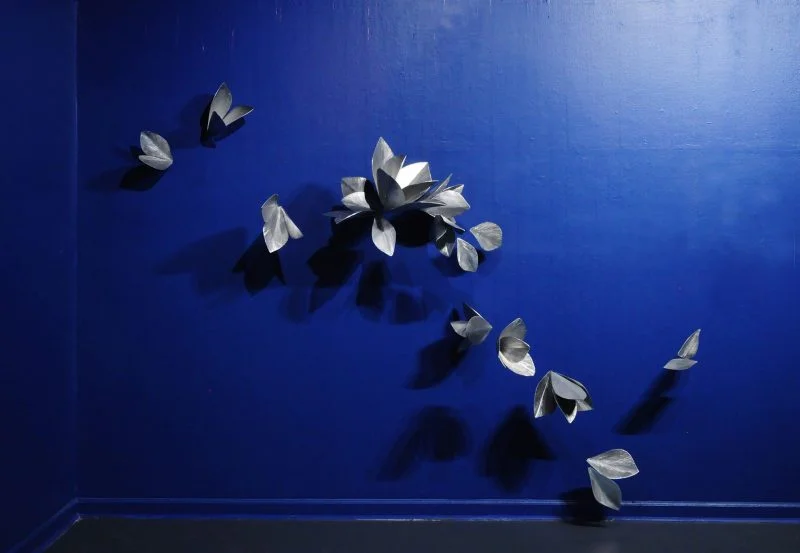 Wiind trail view installation